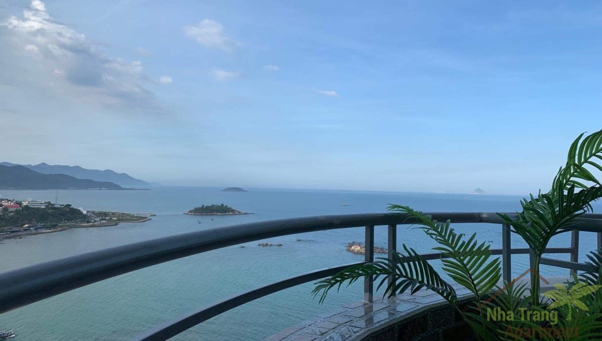 465E56C2-9DF9-49CE-9E79-B4A9C2697E78