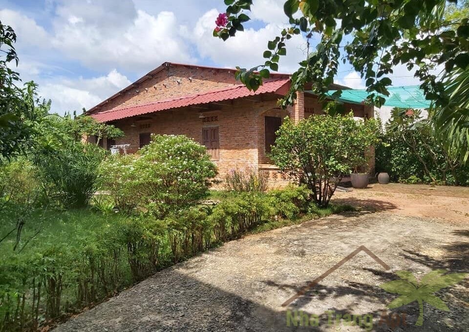 house for rent in nha trang H112-1