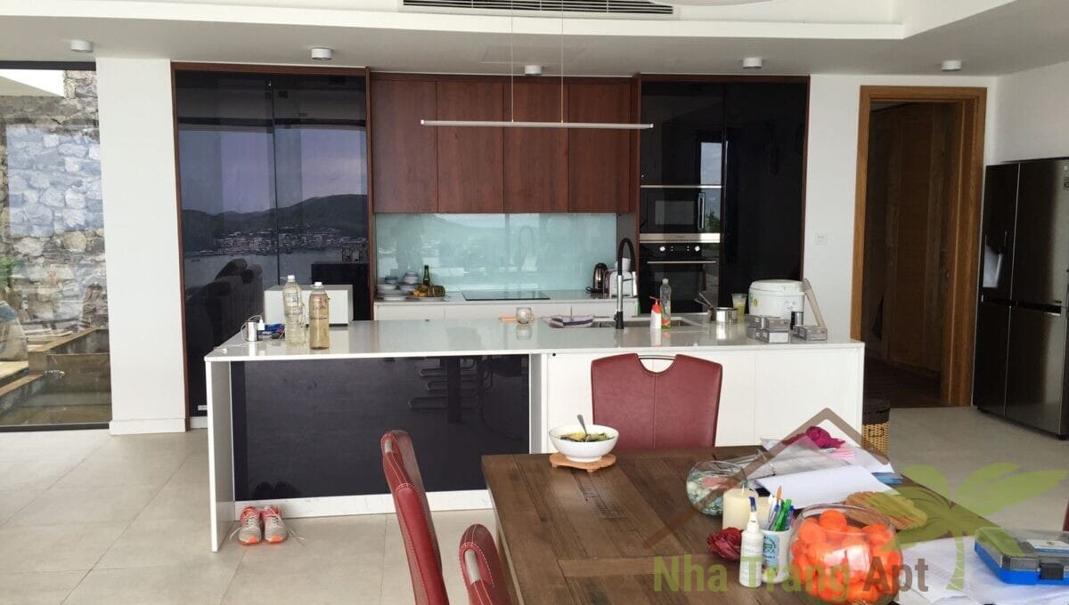 villa for rent anh nguyen V084-2