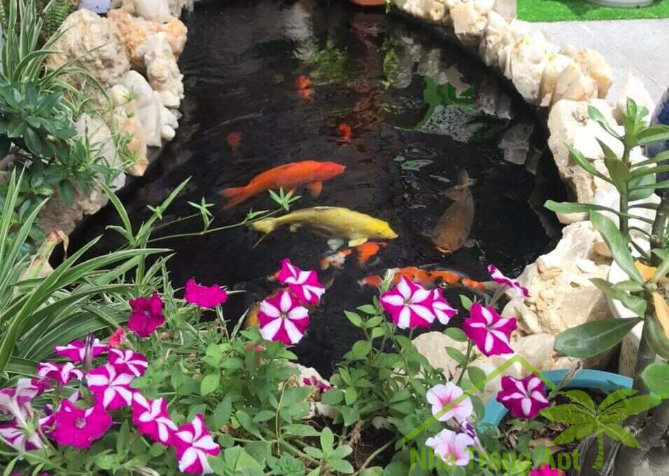 house for rent nha trang h198-2