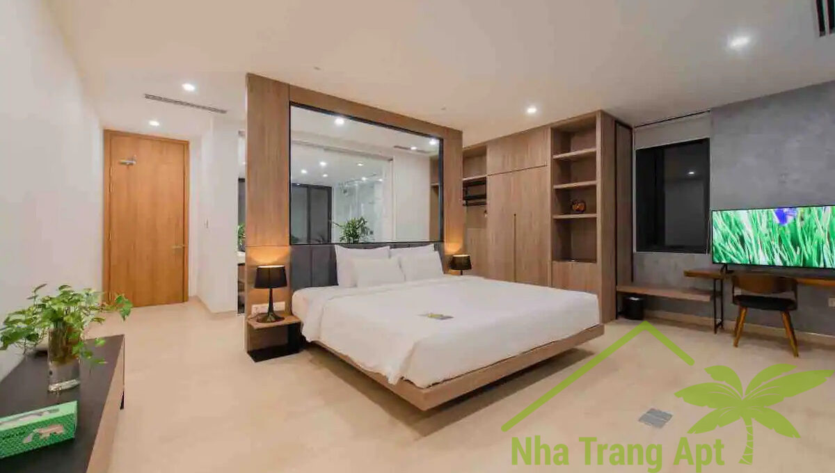 anh nguyen v206 (10)