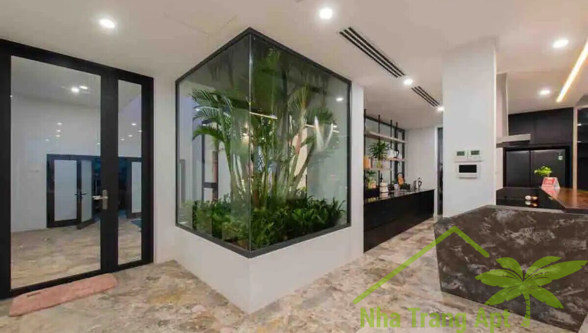 anh nguyen v206 (14)