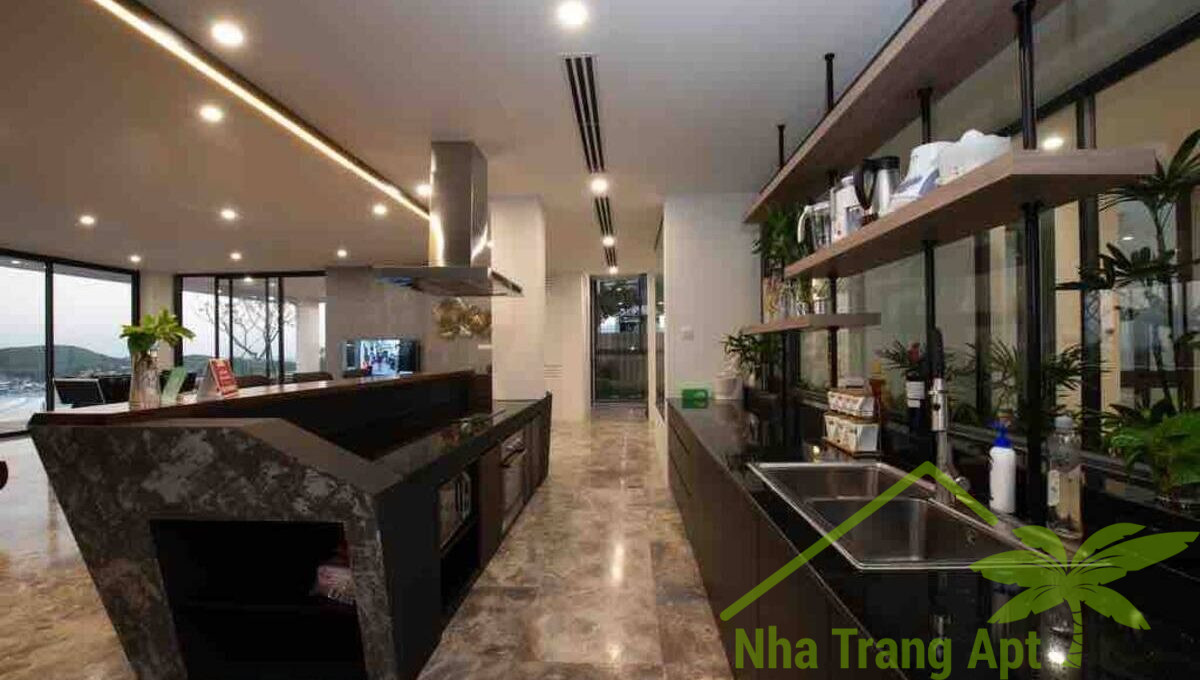 anh nguyen v206 (18)