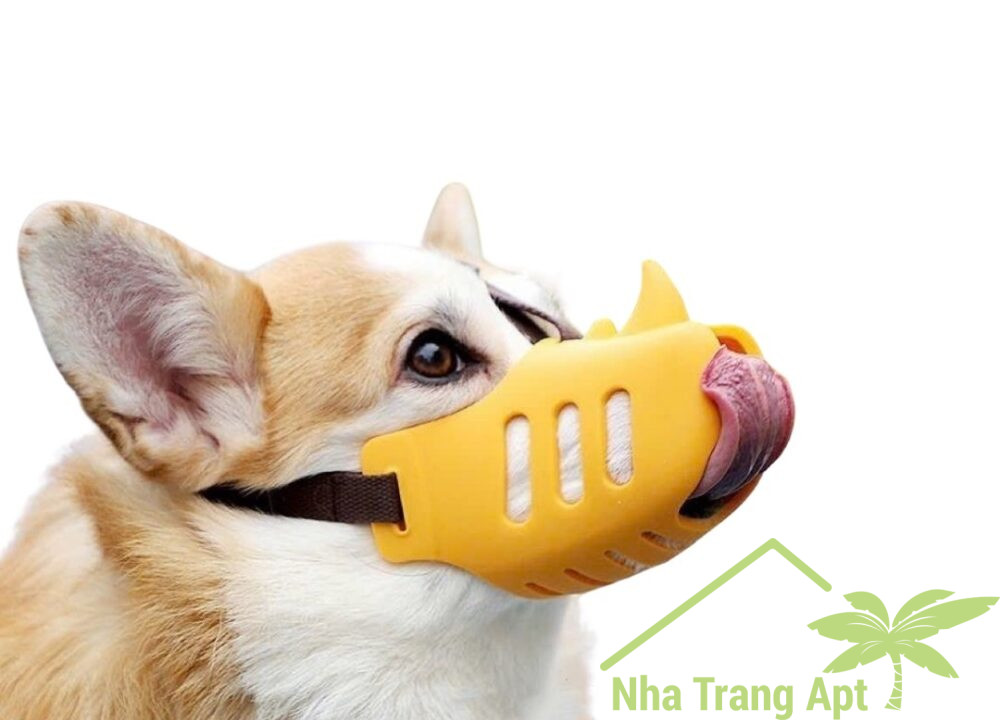 phí quản lý ở mường thanh