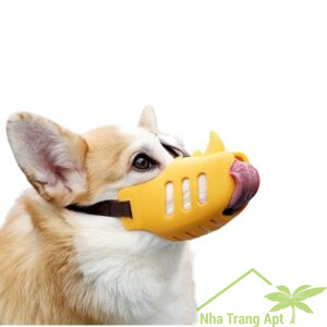 phí quản lý ở mường thanh