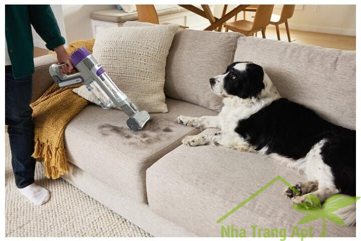 Person vacuuming pet hair from a living room sofa.