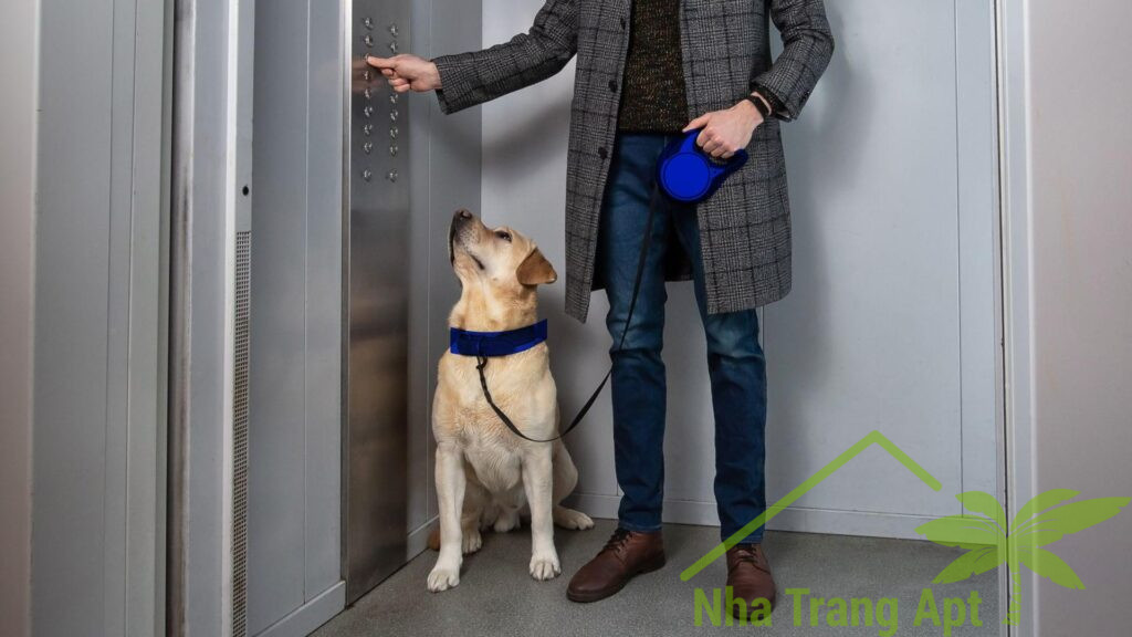 Dog on a leash beside its owner in an apartment building elevator.